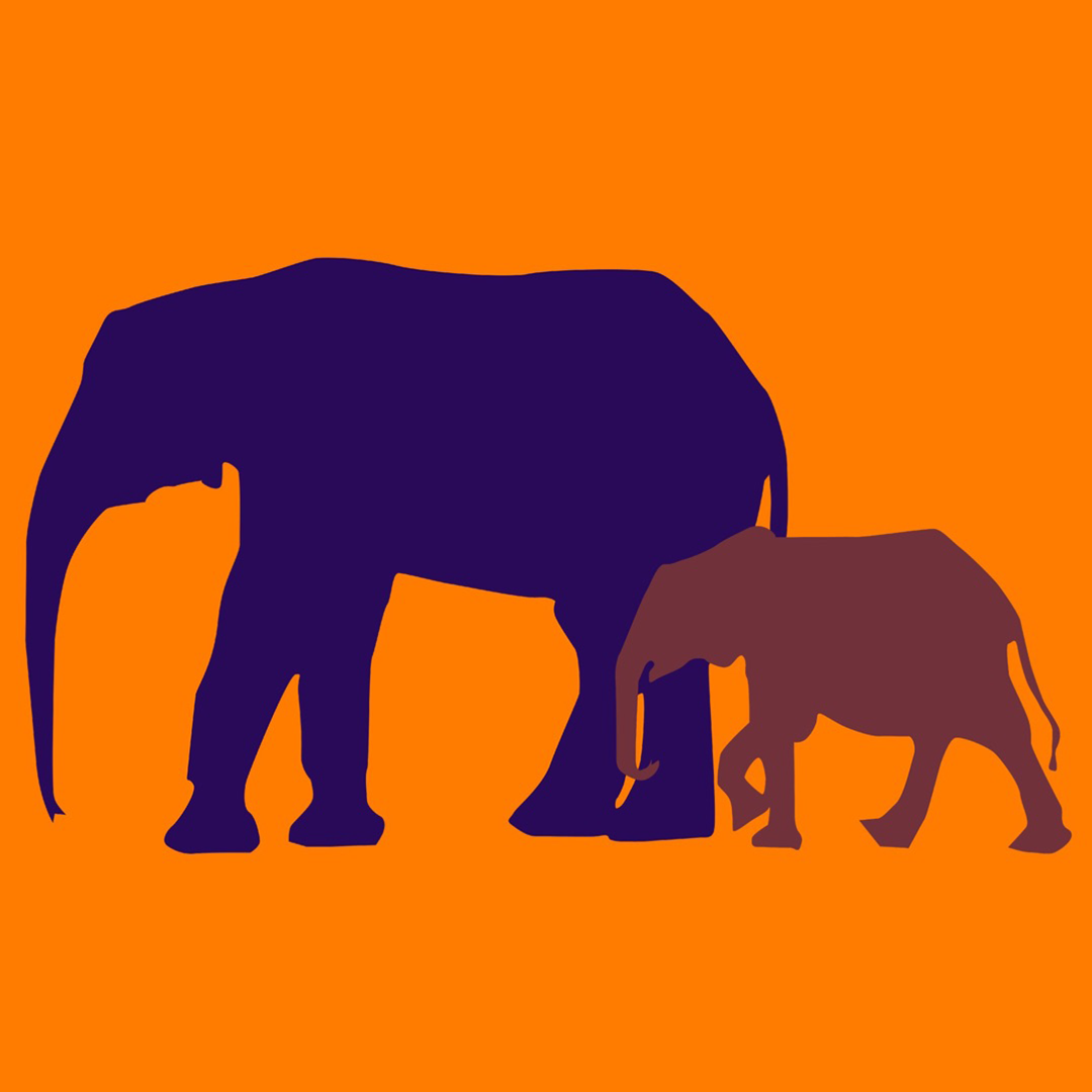 Silhouette art of elephants